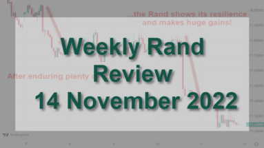 Weekly Rand Review Featured image Rand shows its resilience Novmeber 2023