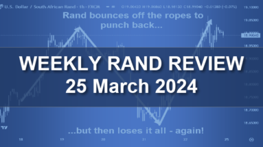 Rand Review Featured Image March 25, 2024